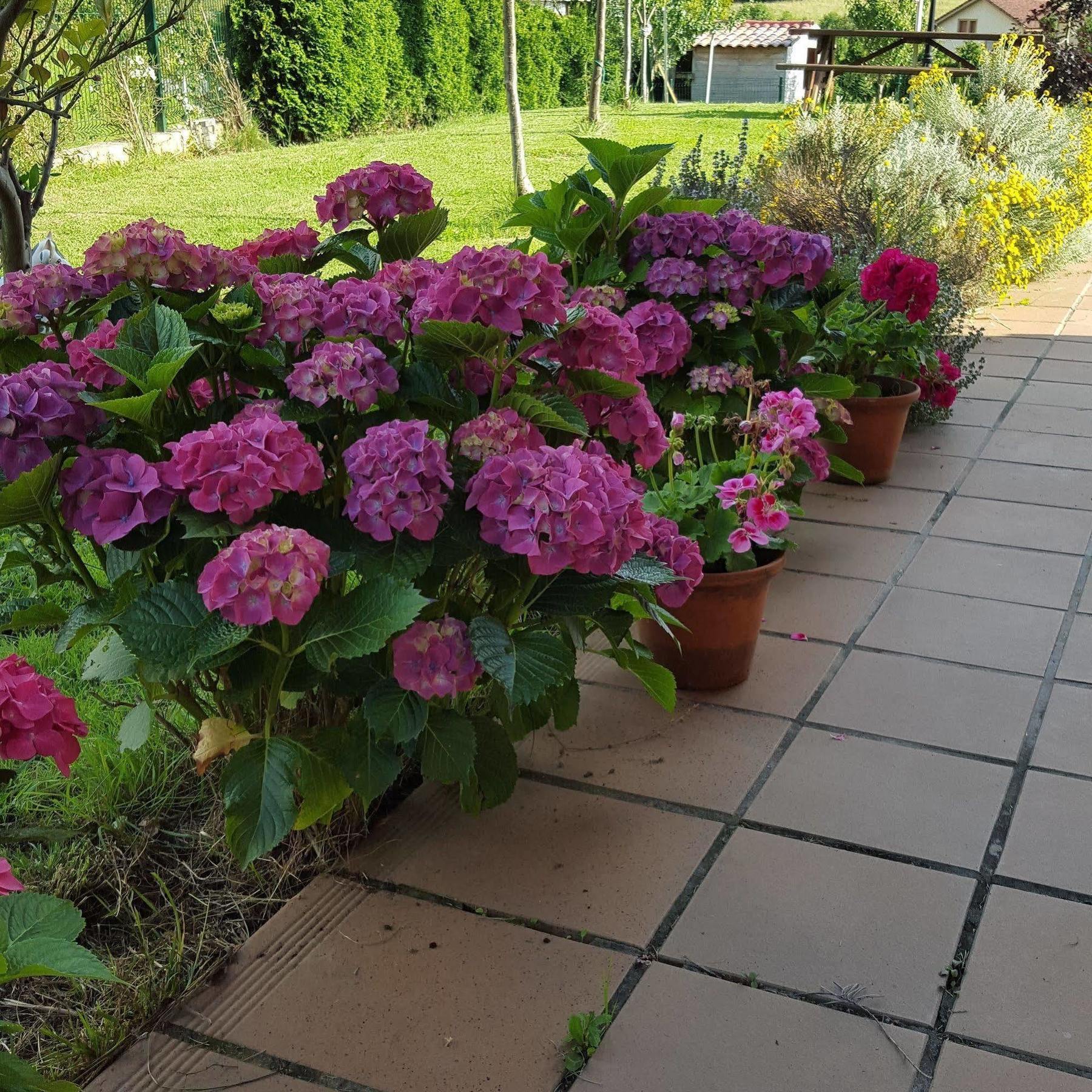 Hotel Rural Foncubierta 소토델바르코 외부 사진